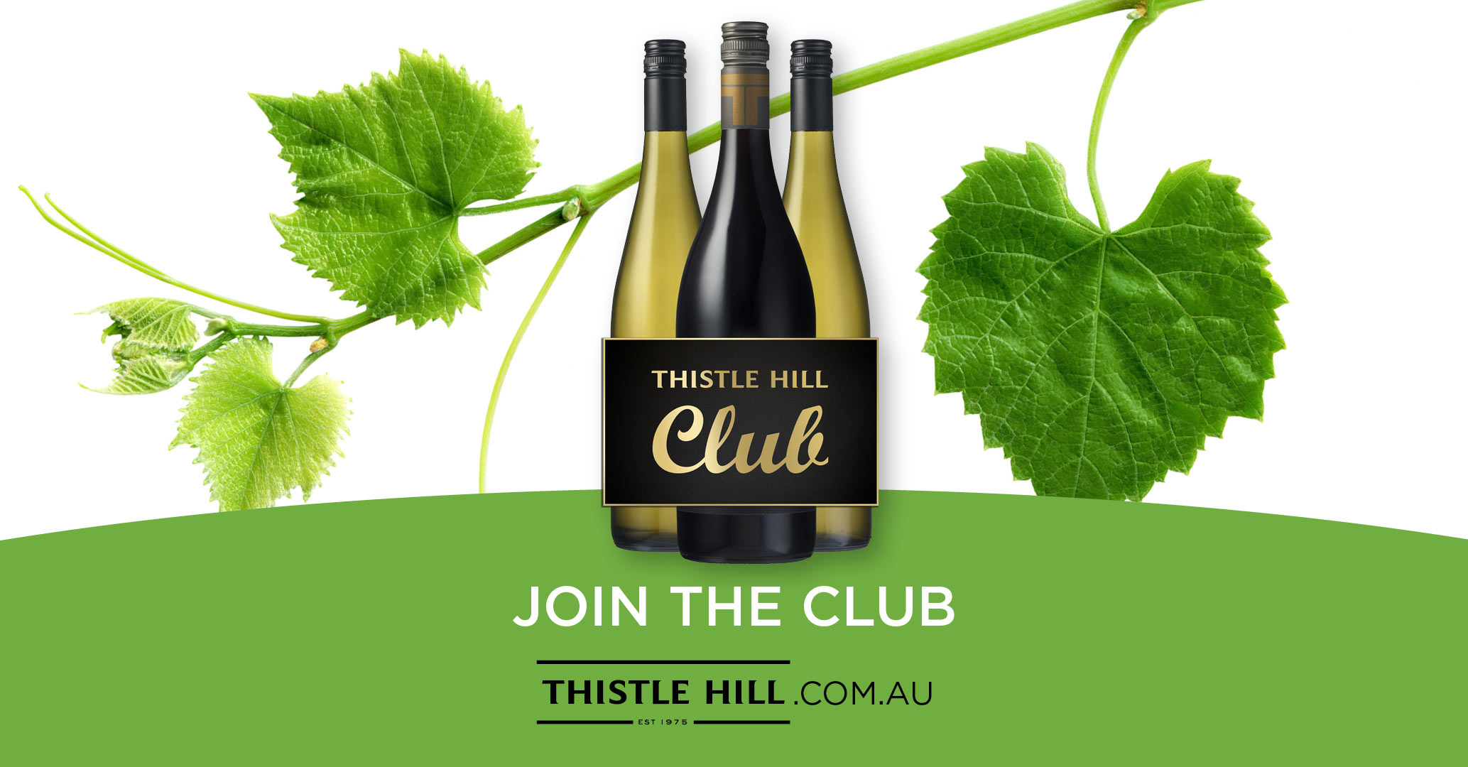 thistle hill wine club